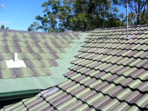 Leaf Shield Green Tile Valley