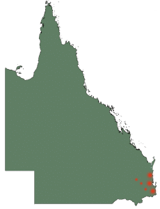 qld-map